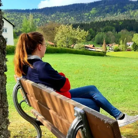 Steinbuehler Hof - Stressfrei Am Lande Bad Koetzting