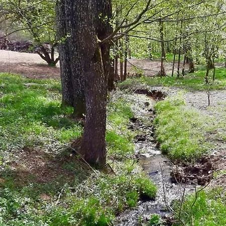 Steinbuehler Hof - Stressfrei Am Lande 3*