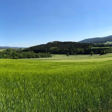 Steinbuehler Hof - Stressfrei Am Lande Bad Koetzting
