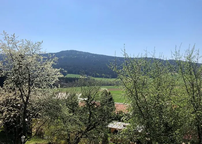 Steinbuehler Hof - Stressfrei Am Lande Bad Koetzting