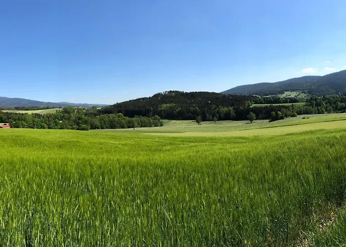Steinbuehler Hof - Stressfrei Am Lande Bad Koetzting